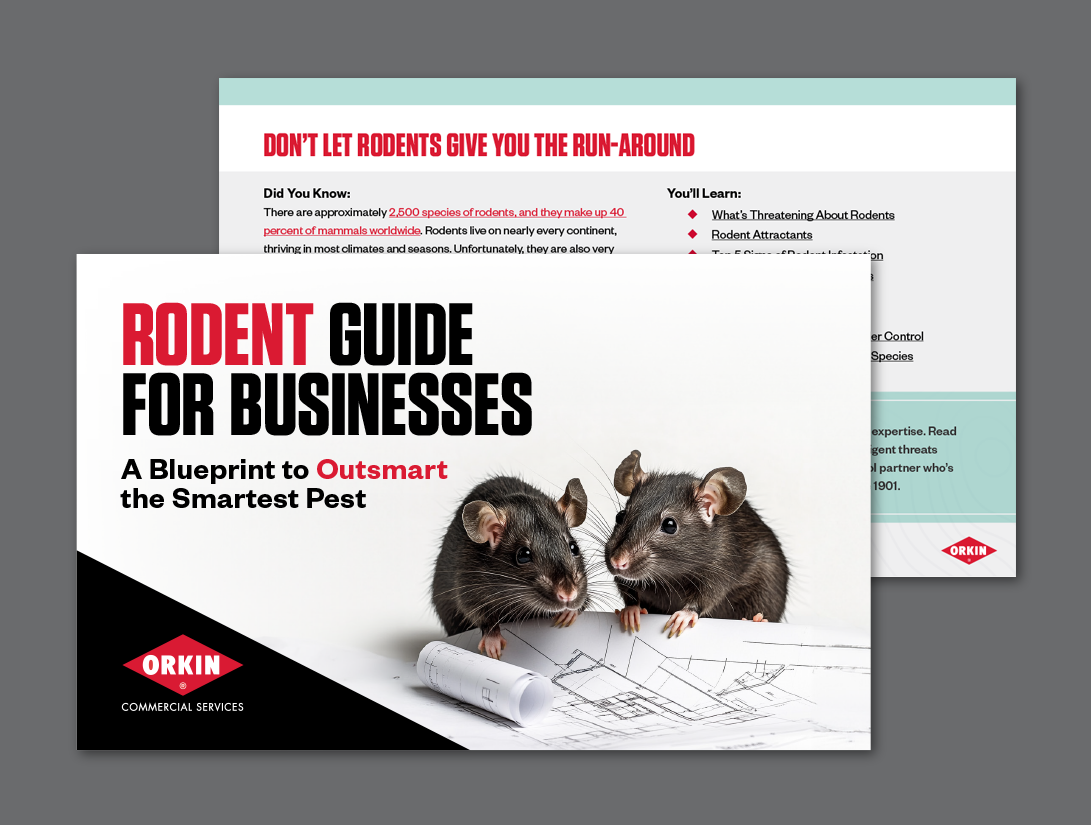 Rodent Guide for Businesses: A Blueprint to Outsmart the Smartest Pest